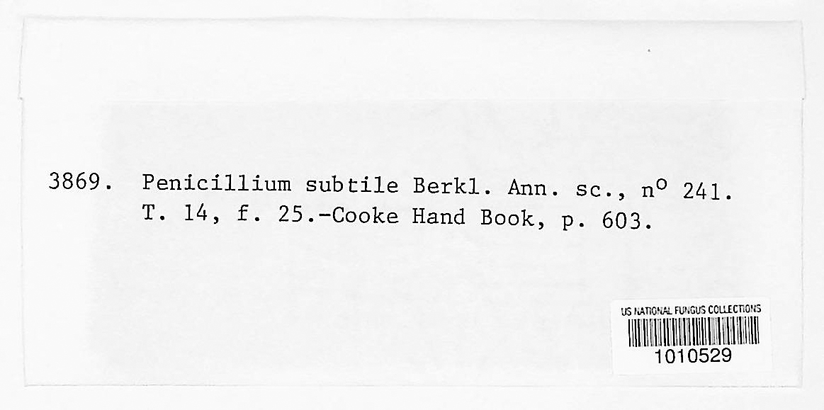 Penicillium subtile